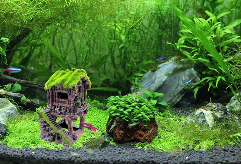 M2cbridge Aquarium Decorations Fish Hideout House Betta Cave with Green Lifelike Moss (Style 4) - Image 5